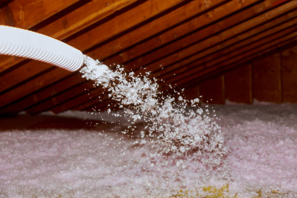 Best Commercial Insulation in Boyce, LA