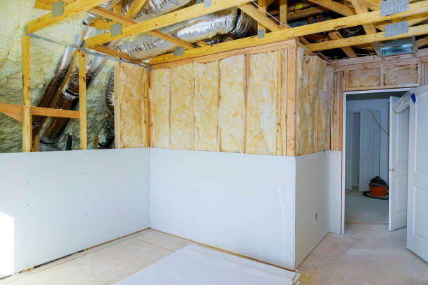 Best Eco-Friendly Insulation in Boyce, LA