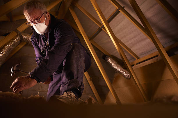 Best Spray Foam Insulation in Boyce, LA