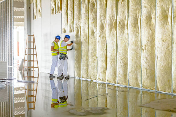 Best Cellulose Insulation in Boyce, LA
